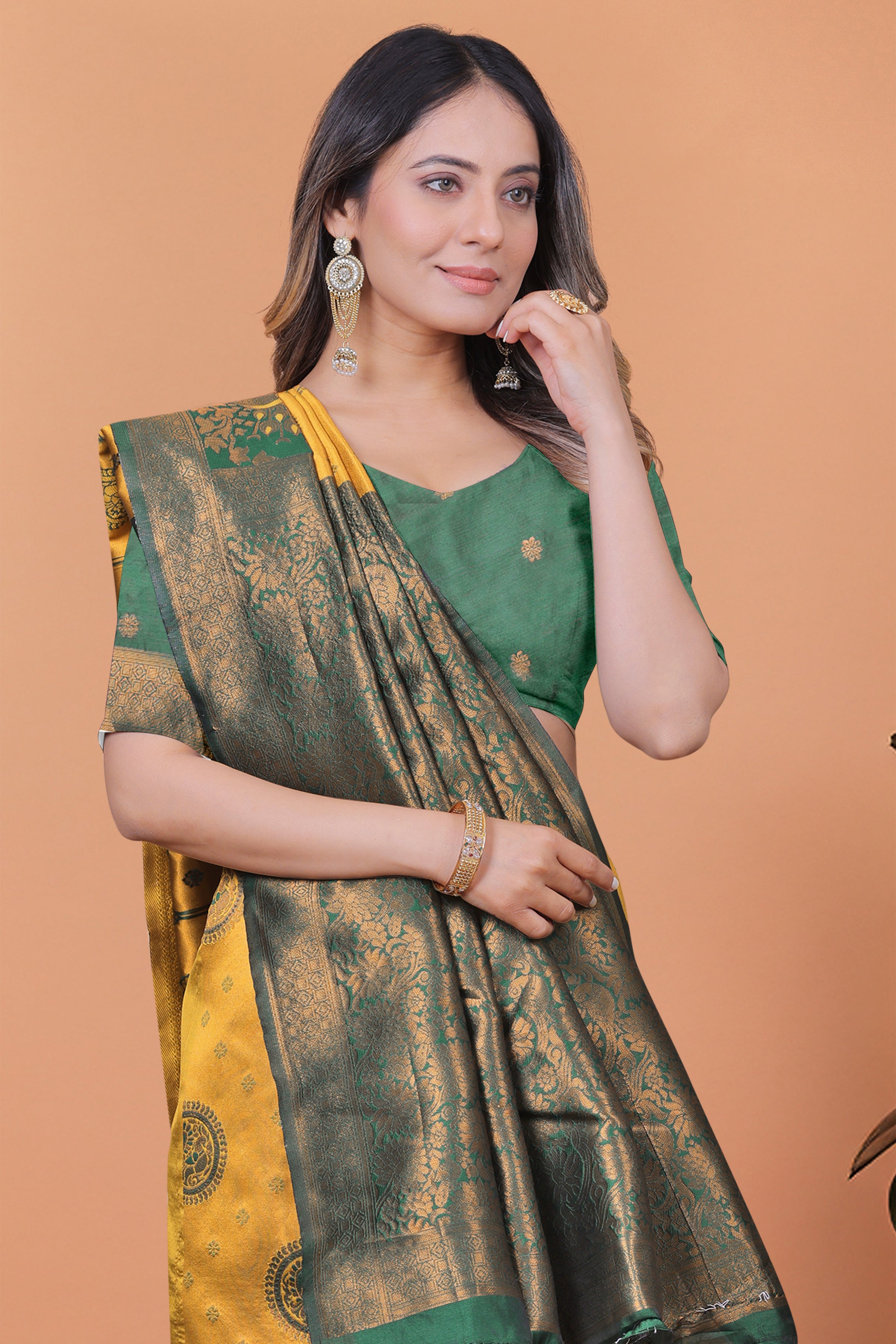 Banarasi Saree with Plum Borders with 8 Color
